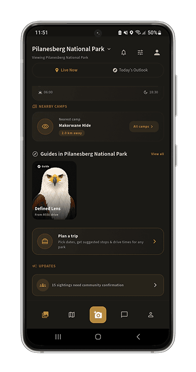 Guides, Right on Your Dashboard: Surfaced for the park you're in