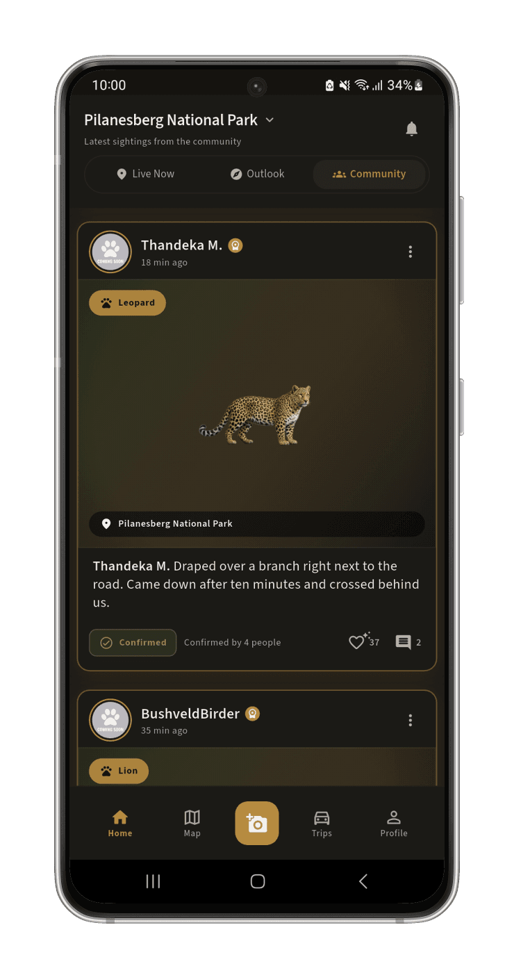 Sightings Feed: Recent sightings from the community