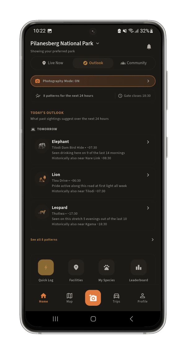 Golden Hour, On Your Dashboard: Photography Mode switched on, live