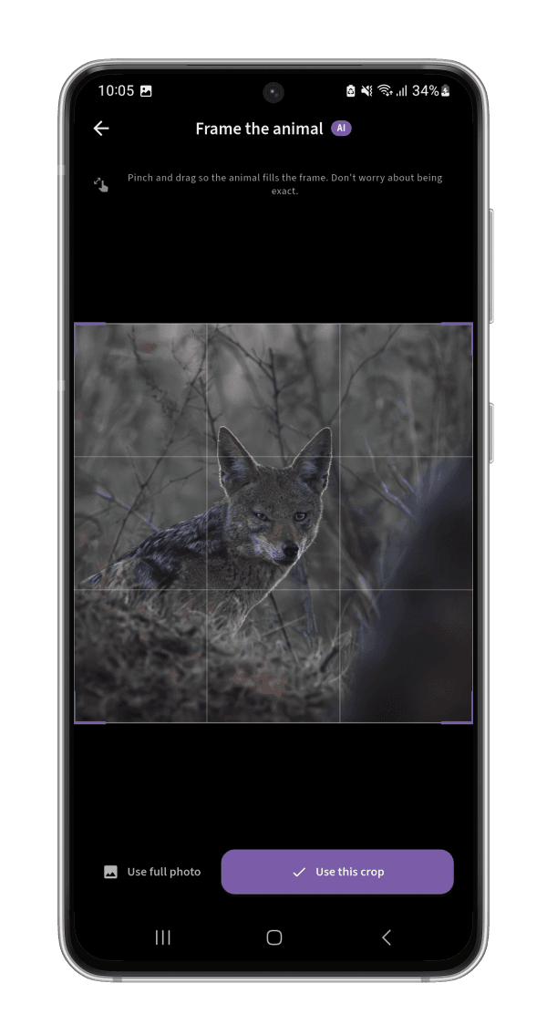 Frame the Animal: Crop in for a cleaner read