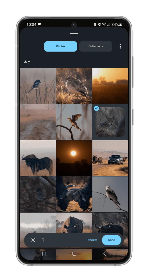 Camera or Gallery: Shoot fresh, or pick an existing photo